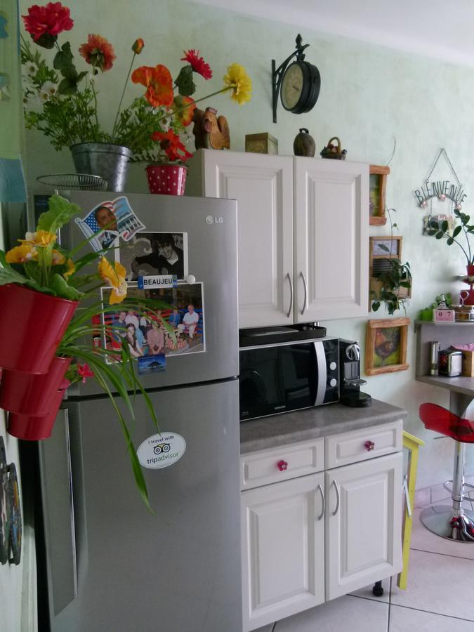 St Pothin Village Avec Garage ليون المظهر الخارجي الصورة